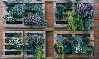 Stylish and Functional Outdoor Wall Planters to Beautify Your Space